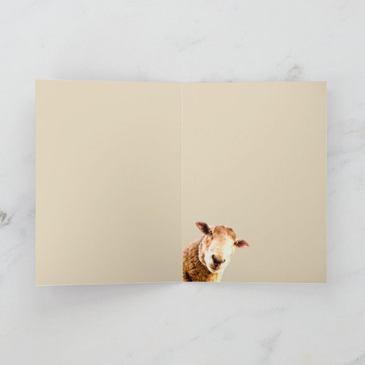 ありがたいことに、あなたみたいな友達がいるのよ ファンシーな羊 サンキューカード (内部)