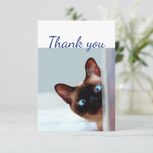 ありがとうおもしろい不思議な覗き猫キッテン サンキューカード (スタンド正面)