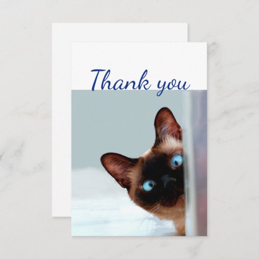 ありがとうおもしろい不思議な覗き猫キッテン サンキューカード (正面/裏面)