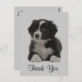 ありがとうこ縁どその子犬のポストカード ポストカード (正面/裏面)