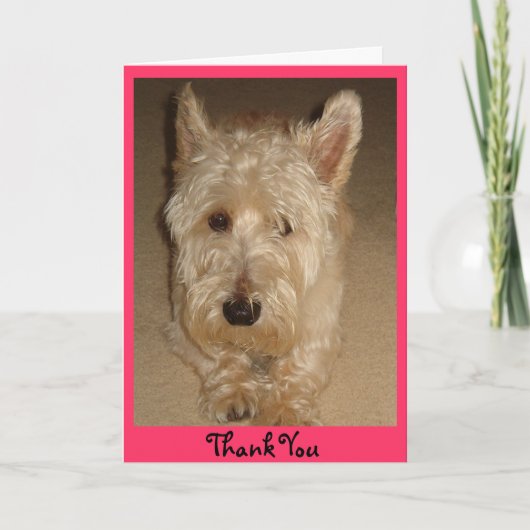 ありがとうございます。 サンキューカード (正面)