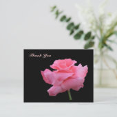 ありがとうごバラ葉書 ポストカード (スタンド正面)