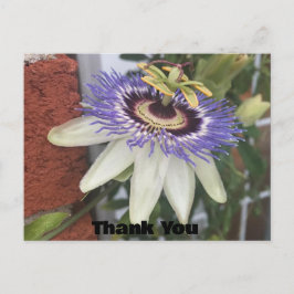 ありがとうの花のポストカード ポストカード