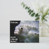 ありがとうはがきは最高の魚類の友 ポストカード (スタンド正面)