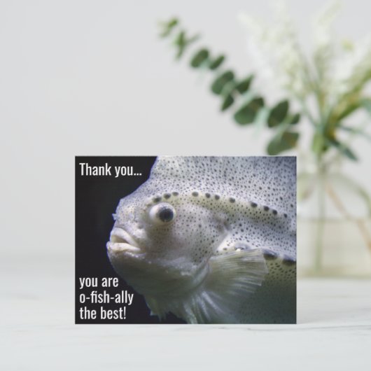 ありがとうはがきは最高の魚類の友 ポストカード (スタンド正面)