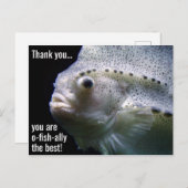 ありがとうはがきは最高の魚類の友 ポストカード (正面/裏面)
