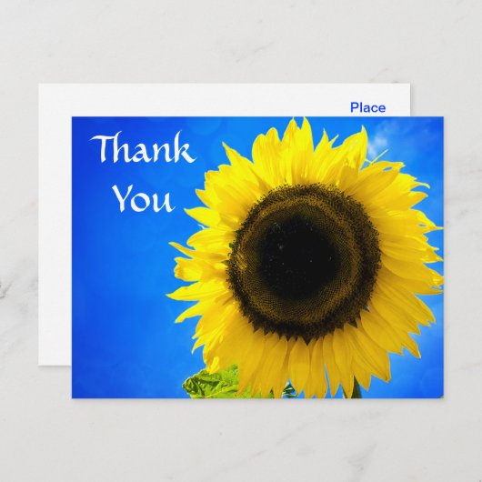 ありがとうひまわり挨拶はがき ポストカード (正面/裏面)