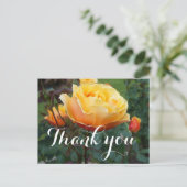 ありがとうアバウトフェイス ローズ #2 ポストカード (スタンド正面)