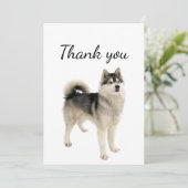 ありがとうアメリカ人エスキモマラムテドッグペット サンキューカード (スタンド正面)