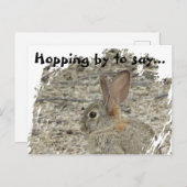 ありがとうウサギの写真　性別問わず使える感謝の気持ち ポストカード (正面/裏面)