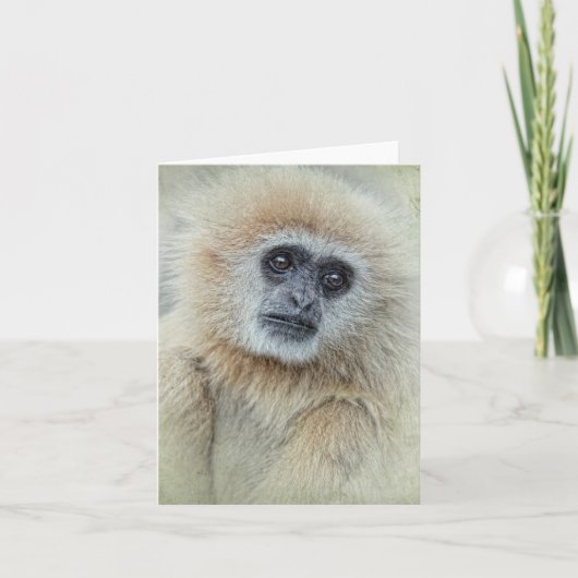 ありがとうカード サンキューカード (正面)