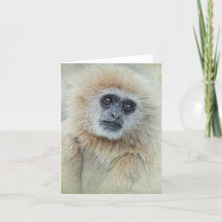 ありがとうカード サンキューカード