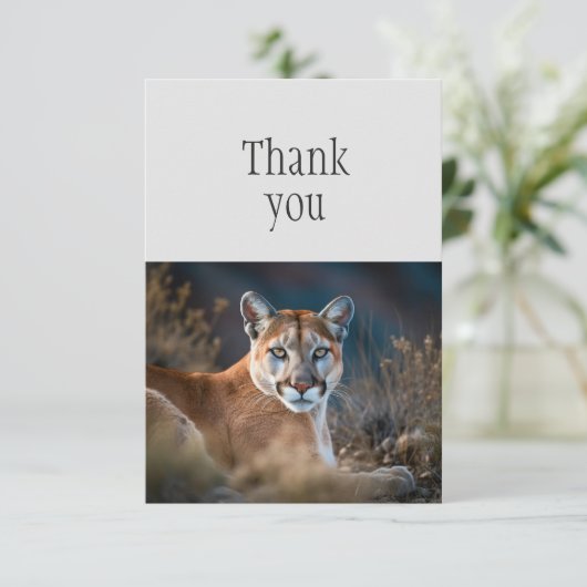 ありがとうキュートなクーガーマウンテンライオンワイルドキャット サンキューカード (スタンド正面)
