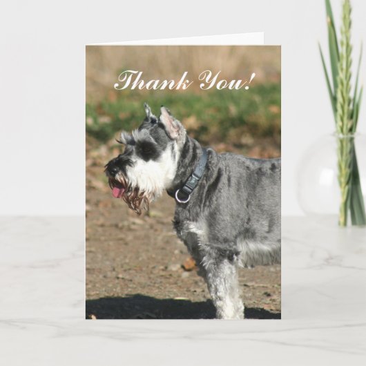 ありがとうシュナウザー犬グリーティングカード サンキューカード (正面)