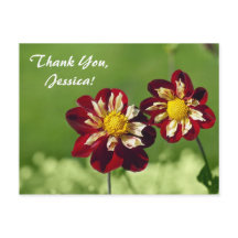 ありがとうジェシカ！ポストカード