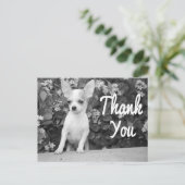 ありがとうチワワ子犬はがき ポストカード (スタンド正面)