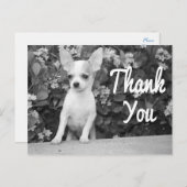 ありがとうチワワ子犬はがき ポストカード (正面/裏面)