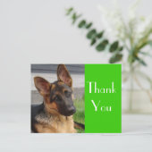 ありがとうドイツの羊飼い子犬のポストカード ポストカード (スタンド正面)