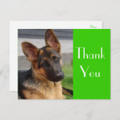 ありがとうドイツの羊飼い子犬のポストカード ポストカード (正面/裏面)