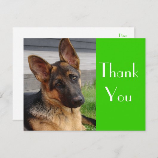 ありがとうドイツの羊飼い子犬のポストカード ポストカード (正面/裏面)