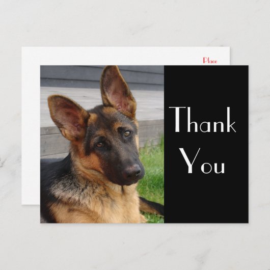 ありがとうドイツの羊飼い子犬のポストカード ポストカード (正面/裏面)