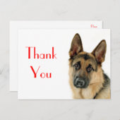 ありがとうドイツの羊飼い子犬のポストカード ポストカード (正面/裏面)