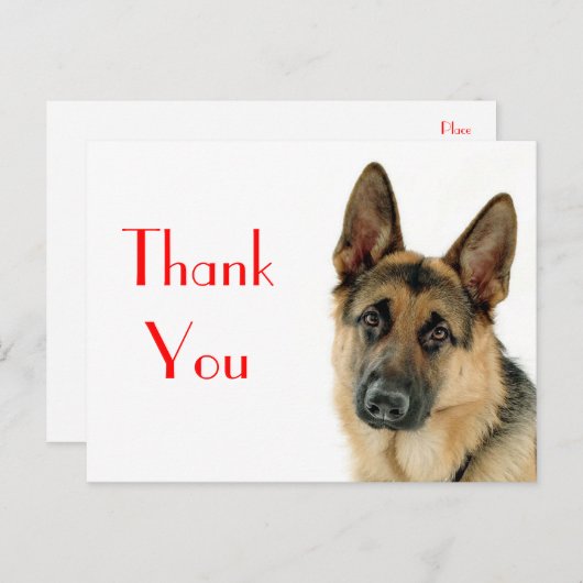 ありがとうドイツの羊飼い子犬のポストカード ポストカード (正面/裏面)