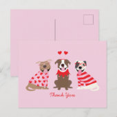 ありがとうバレンタインデーアメリカンピットブルテリア ポストカード (正面/裏面)