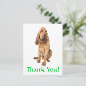 ありがとうブラッドハウンド犬グリーティングポストカード ポストカード (スタンド正面)