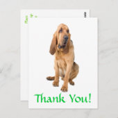 ありがとうブラッドハウンド犬グリーティングポストカード ポストカード (正面/裏面)