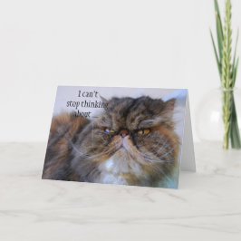 ありがとうペルシャカリコ子猫プリンセスカード サンキューカード