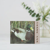 ありがとうマラードアヒル野鳥の感謝 カード (スタンド正面)