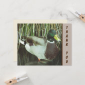 ありがとうマラードアヒル野鳥の感謝 カード (正面/裏面インサイチュ)