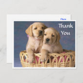 ありがとうラブラドールリトリエバーパピーポストカード ポストカード (正面/裏面)