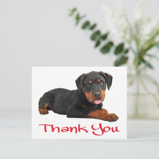 ありがとうロットワイラー子犬あいさつ葉書 ポストカード (スタンド正面)