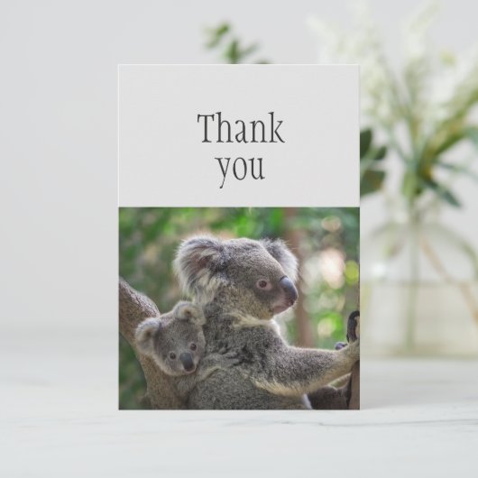 ありがとう可愛い小さなコアラ熊&ジョーイ サンキューカード (スタンド正面)