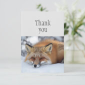 ありがとう可愛い眠る赤いキツネ動物 サンキューカード (スタンド正面)
