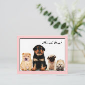 ありがとう子犬はがき ポストカード (スタンド正面)