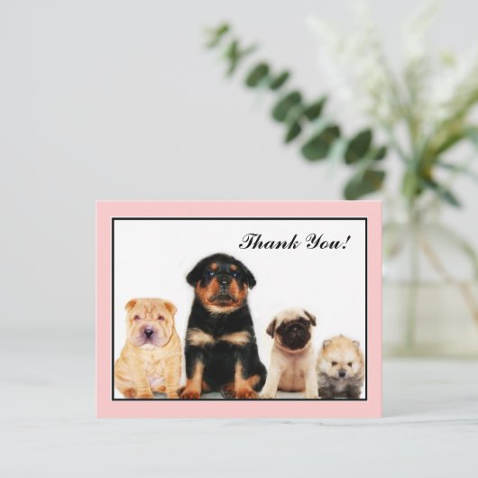 ありがとう子犬はがき ポストカード (スタンド正面)