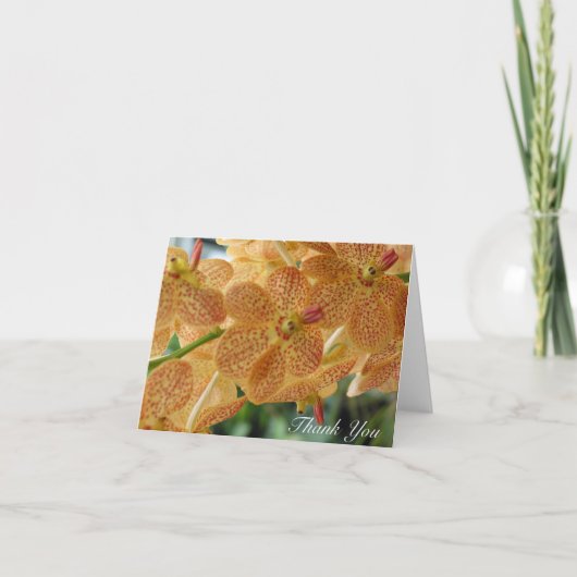 ありがとう点々のあるな蘭(中ブランク) サンキューカード (正面)