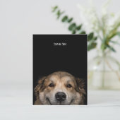 ありがとう犬フラットカード サンキューカード (スタンド正面)