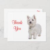 ありがとう白いウェスティー子犬あいさつ葉書 ポストカード (正面/裏面)