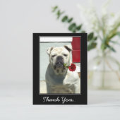 ありがとう白いブルドッグとバラ葉書 ポストカード (スタンド正面)