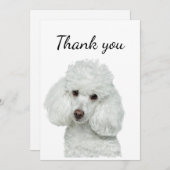 ありがとう白いプードルドッグペット サンキューカード (正面/裏面)