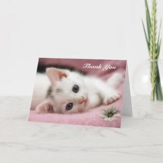 ありがとう白雪姫 サンキューカード