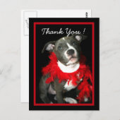 ありがとう青いピットブル子犬はがき ポストカード (正面/裏面)