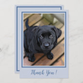 ありがとう黒いラボの子犬 – 青かわいいラブラドール犬 サンキューカード (正面/裏面)