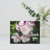 ありがとう さくら #2 ポストカード (スタンド正面)