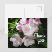 ありがとう さくら #2 ポストカード (正面/裏面)