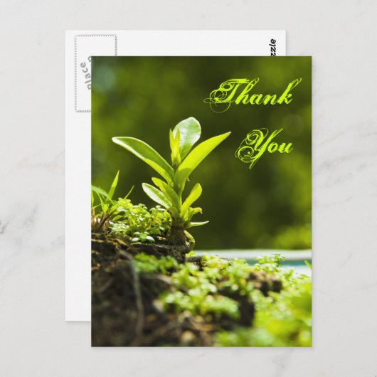 ありがとう – はがき (正面/裏面)